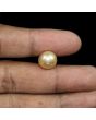 South Sea Pearl (Moti) 10.98 Carat 