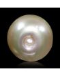 South Sea Pearl (Moti) 7.75 Carat 