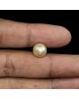South Sea Pearl (Moti) 7.75 Carat 