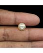 South Sea Pearl (Moti) 7.75 Carat 