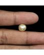 South Sea Pearl (Moti) 7.75 Carat 