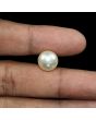 South Sea Pearl (Moti) 11.63 Carat 