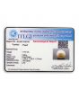 South Sea Pearl (Moti) 11.63 Carat 