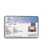 South Sea Pearl (Moti) 12.47 Carat 