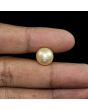 South Sea Pearl (Moti) 13.52 Carat 
