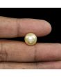 South Sea Pearl (Moti) 13.52 Carat 