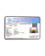 South Sea Pearl (Moti) 13.52 Carat 