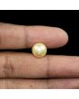 South Sea Pearl (Moti) 11.07 Carat 