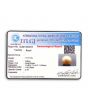 South Sea Pearl (Moti) 11.07 Carat 