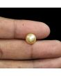 South Sea Pearl (Moti) 5.96 Carat 
