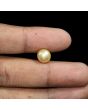 South Sea Pearl (Moti) 5.96 Carat 