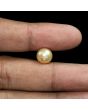 South Sea Pearl (Moti) 6.46 Carat 