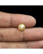 South Sea Pearl (Moti) 5.92 Carat 