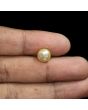 South Sea Pearl (Moti) 5.92 Carat 