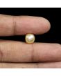 South Sea Pearl (Moti) 5.89 Carat 