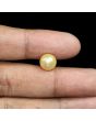 South Sea Pearl (Moti) 6.64 Carat 