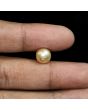 South Sea Pearl (Moti) 6.86 Carat