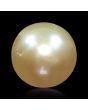 South Sea Pearl (Moti) 6.61 Carat 