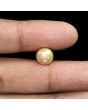 South Sea Pearl (Moti) 6.61 Carat 