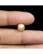South Sea Pearl (Moti) 6.61 Carat 