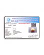 South Sea Pearl (Moti) 6.61 Carat 