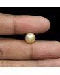 South Sea Pearl (Moti) 6.62 Carat 