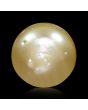 South Sea Pearl (Moti) 5.75 Carat 