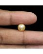 South Sea Pearl (Moti) 6.41 Carat 