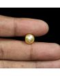 South Sea Pearl (Moti) 6.4 Carat 