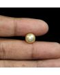 South Sea Pearl (Moti) 6.53 Carat 