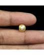South Sea Pearl (Moti) 6.53 Carat 