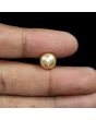 South Sea Pearl (Moti) 6.75 Carat