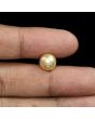 South Sea Pearl (Moti) 6.56 Carat 
