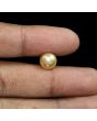 South Sea Pearl (Moti) 6.56 Carat 