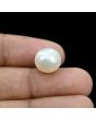 South Sea Pearl (Moti) 10.62 Carat 