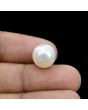 South Sea Pearl (Moti) 10.62 Carat 