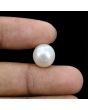 South Sea Pearl (Moti) 10.62 Carat 