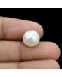 South Sea Pearl (Moti) 10.4 Carat 