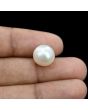 South Sea Pearl (Moti) 10.4 Carat 