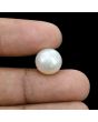 South Sea Pearl (Moti) 10.4 Carat 