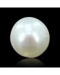 South Sea Pearl (Moti) 11.85 Carat 