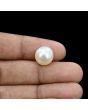 South Sea Pearl (Moti) 11.85 Carat 