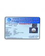 South Sea Pearl (Moti) 11.85 Carat 