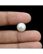 South Sea Pearl (Moti) 9.34 Carat 