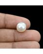 South Sea Pearl (Moti) 8.37 Carat 