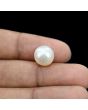 South Sea Pearl (Moti) 8.37 Carat 