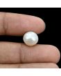 South Sea Pearl (Moti) 8.37 Carat 