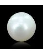South Sea Pearl (Moti) 11.31 Carat 