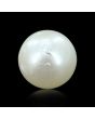 South Sea Pearl (Moti) 9.78 Carat 