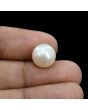South Sea Pearl (Moti) 9.78 Carat 